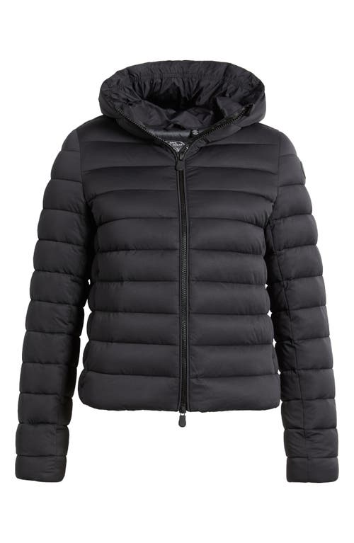 Shop Save The Duck Sweet Quilted Hooded Puffer Jacket In Black