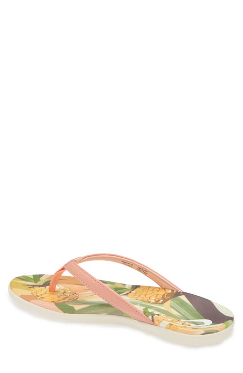 Shop Olukai Ho'opio Hau Flip Flop In Shell Coral/pineapple