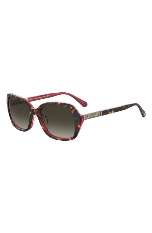 Shop Kate Spade New York Yvette 54mm Gradient Polarized Square Sunglasses In Havana Pink/brown Gradient