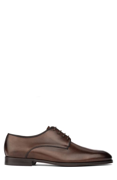 Shop To Boot New York Blakeley Plain Toe Derby In Brown