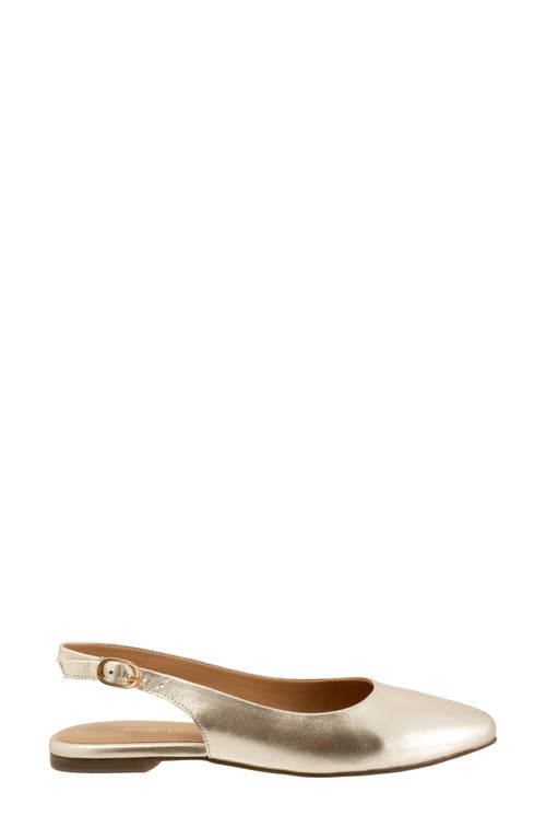 Trotters Evelyn Pointed Toe Slingback Flat In Champagne