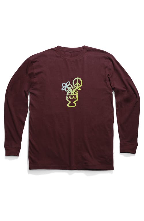 Stance Scribbles Long Sleeve Cotton Graphic T-Shirt Wine at Nordstrom,