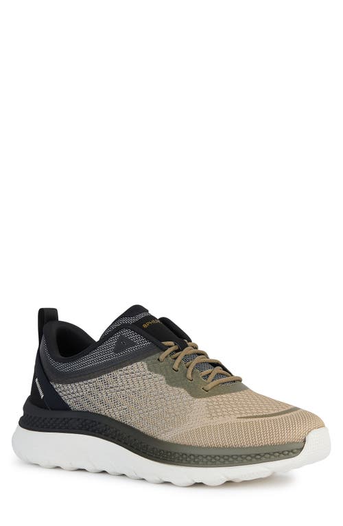 Geox Spherica Actif X Sneaker at Nordstrom,