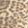 selected Leopard color