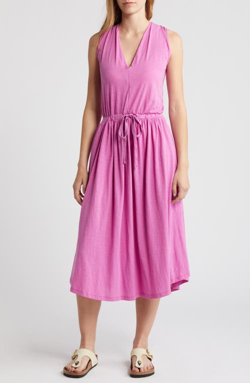 Shop Nation Ltd Brianna Sleeveless Pima Cotton Knit Midi Dress In Rosebud