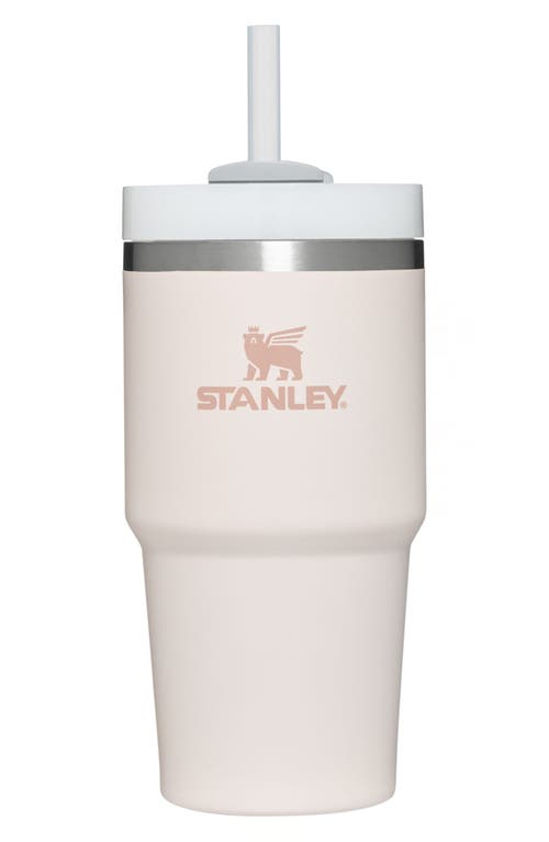 The Best Stanley Tumbler Dupe from AliExpress