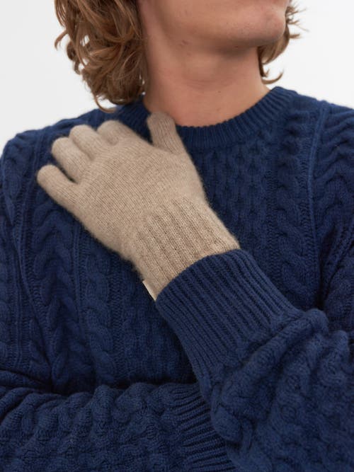 Gobi Cashmere Gloves In Taupe