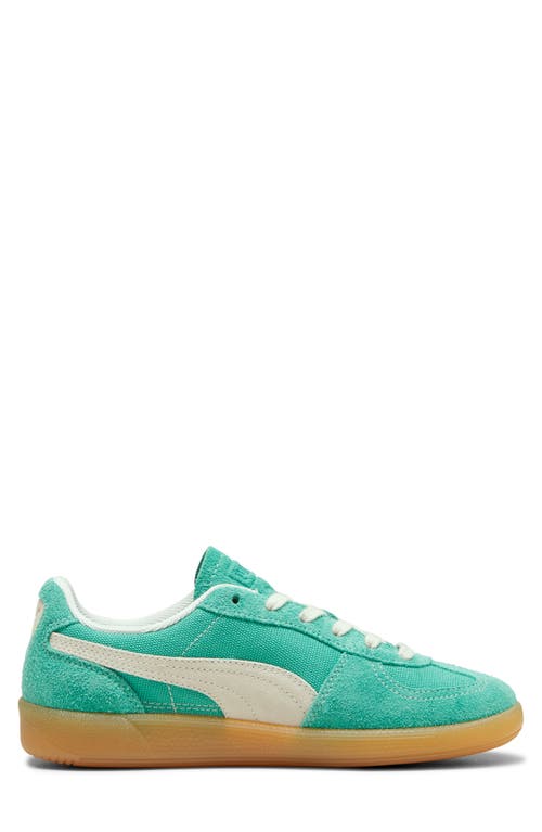 Shop Puma Palermo Sneaker In Jade Frost-frosted Ivory-gum