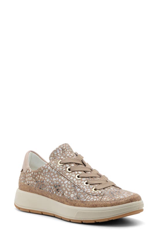 Shop Ara Rem Sneaker In Camel Konfettikid