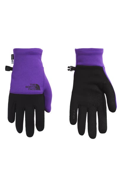 Click to view more detailed imagery on our partner's website The North Face Etip Gloves In Peakprpl/tnfblk
