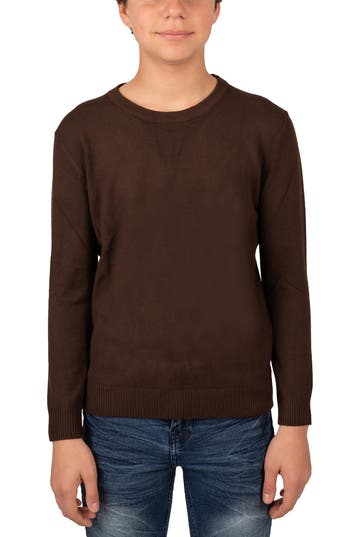X-ray Xray Basic Crew Neck Sweater In Dark Brown