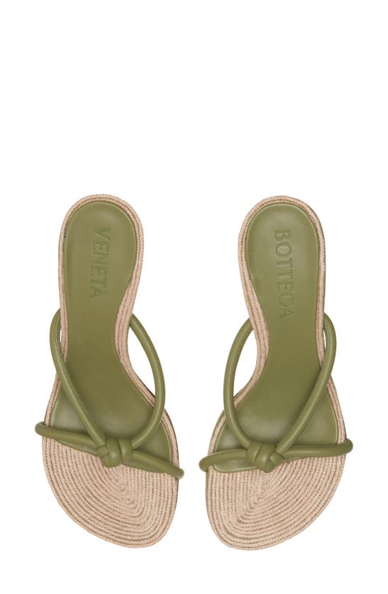 Shop Bottega Veneta Blink Slide Sandal In Tea Leaf-cane Sugar