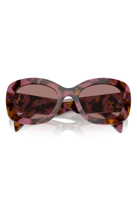 Shop Prada 55mm Oval Sunglasses In Pink/ Brown Havana