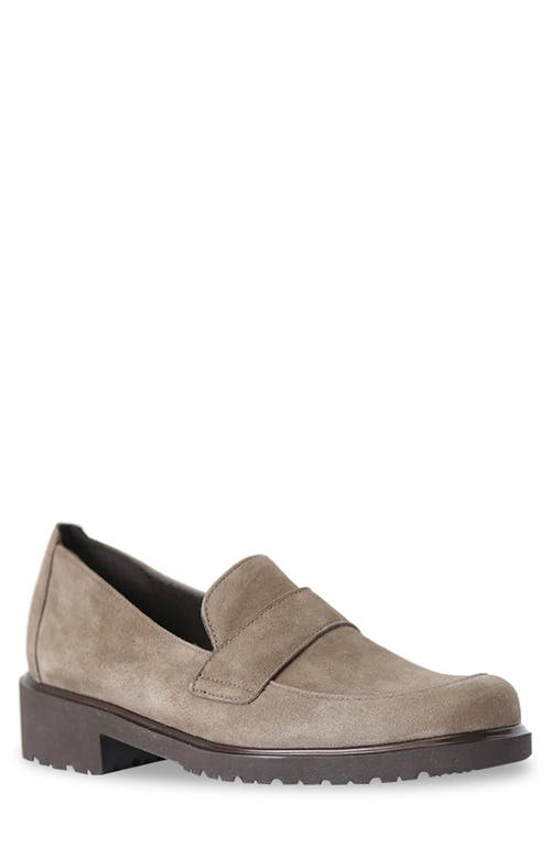 Munro Geena Loafer Taupe Suede at Nordstrom,