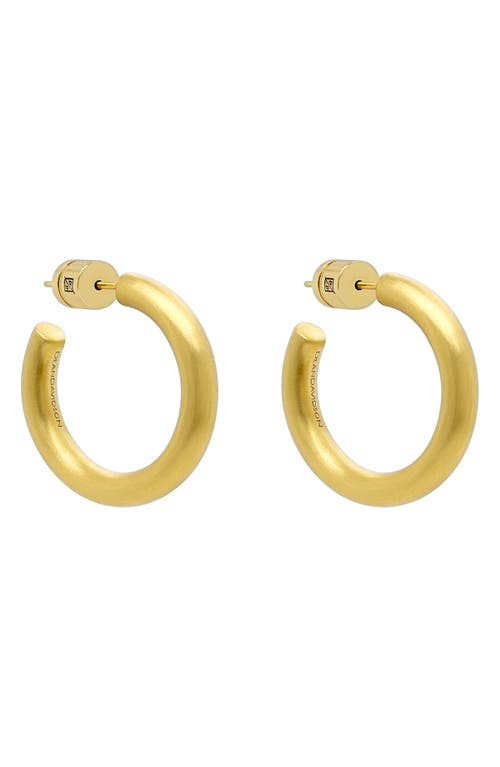 Mini Dune Huggie Hoop Earrings in Gold