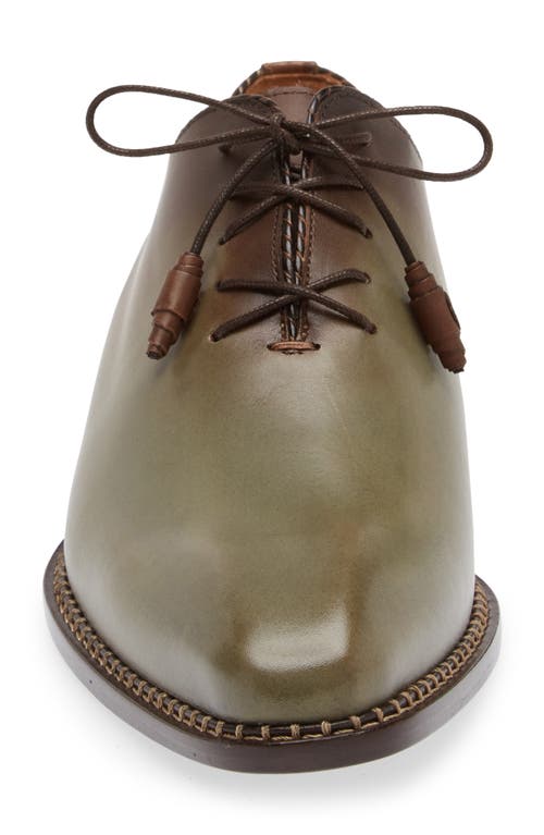 Shop Mezlan Barbaro Oxford In Olive/mocha