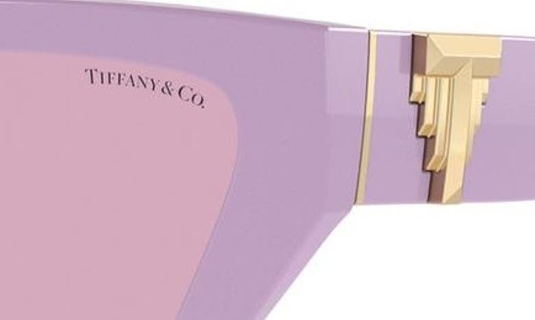 Shop Tiffany & Co 55mm Cat Eye Sunglasses In Violet