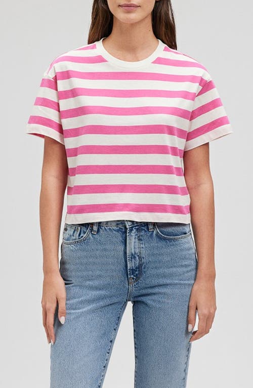 Mavi Jeans Stripe Short Sleeve Crop T-Shirt Shocking Pink at Nordstrom,