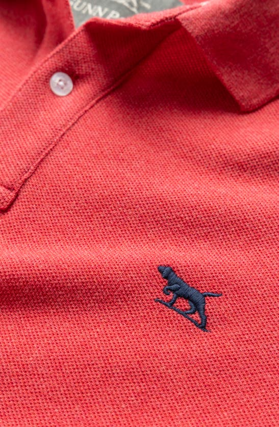 Shop Rodd & Gunn Gunn Piqué Sports Fit Cotton Polo In Fuchsia