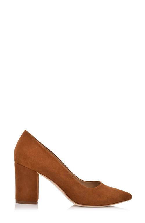 Joan Oloff Riley Pointed Toe Pump In Autumn Kid Suede