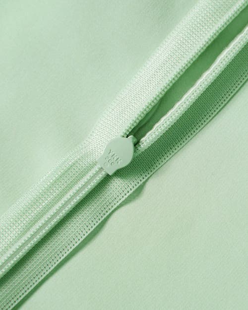 Shop Lilysilk Lilyherb® Mint Silk Pillowcase In Green