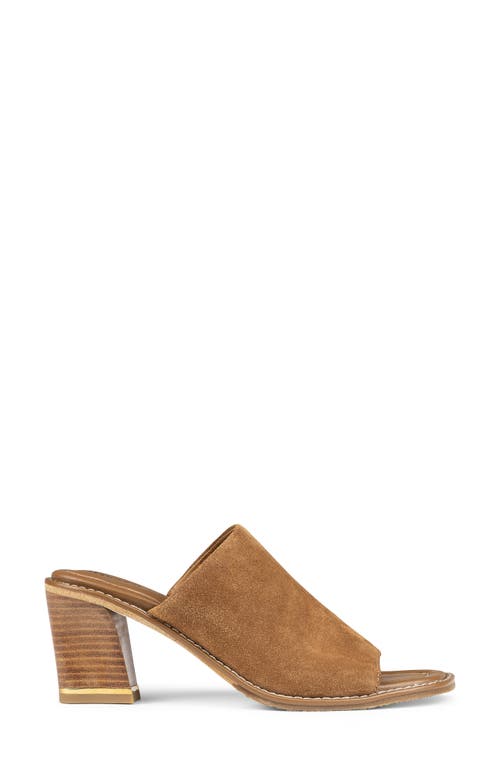Shop Donald Pliner Jaylyn Slide Sandal In Saddle