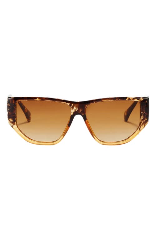 Ash 56mm Polarized Geometric Sunglasses in Torte/Brown