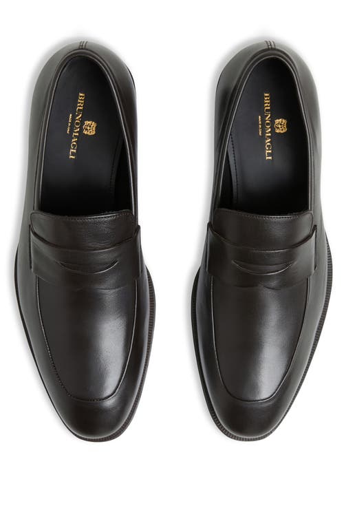 Shop Bruno Magli Maioco Penny Loafer In Dark Brown