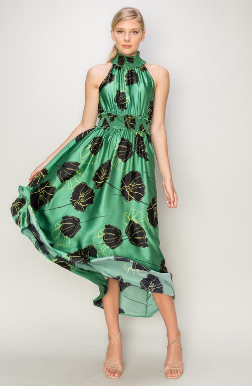 Shop Melloday Floral Print Maxi Dress In Sage Black Floral