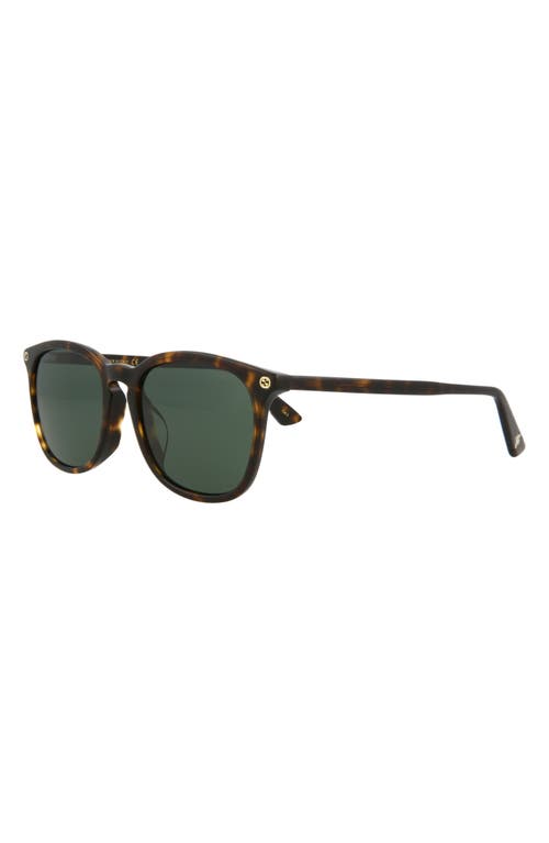 Gucci 53mm Round Oval Sunglasses In Havana Havana Green