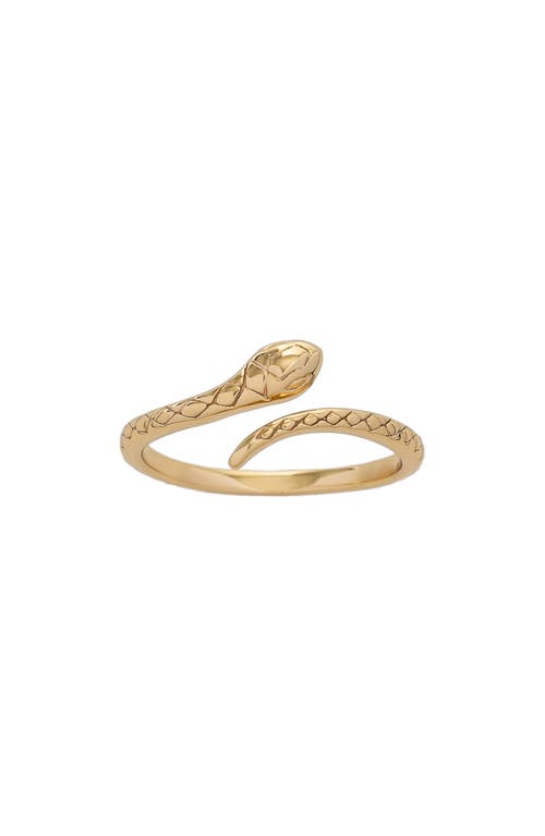 Snake Wrap Ring in Gold
