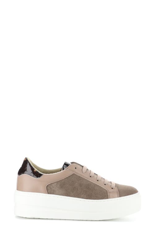 Shop Bos. & Co. Maude Platform Sneaker In Taupe/almondine