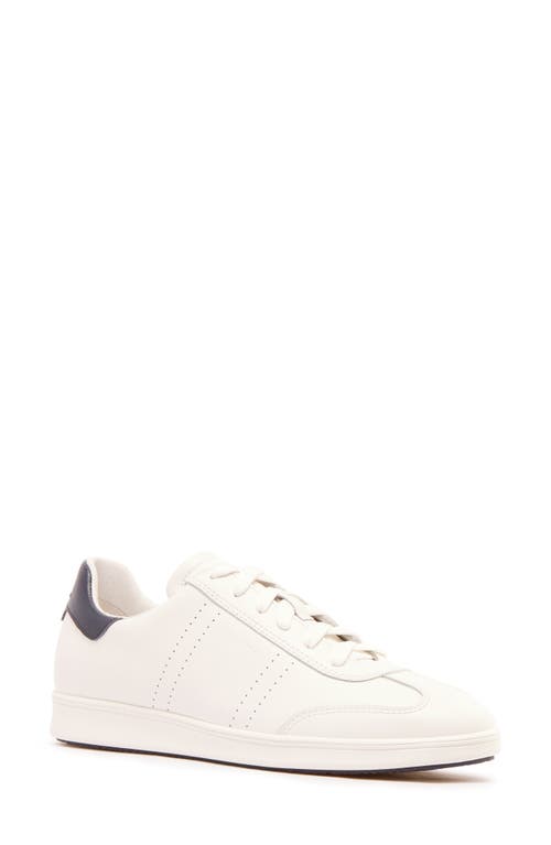 Shop Frankie4 Drew Sneaker In White/navy