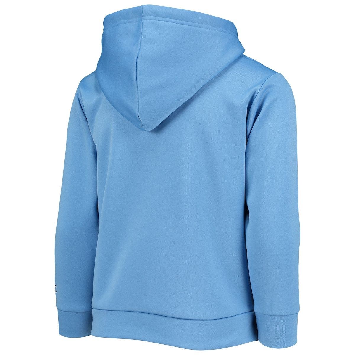 champion carolina blue hoodie