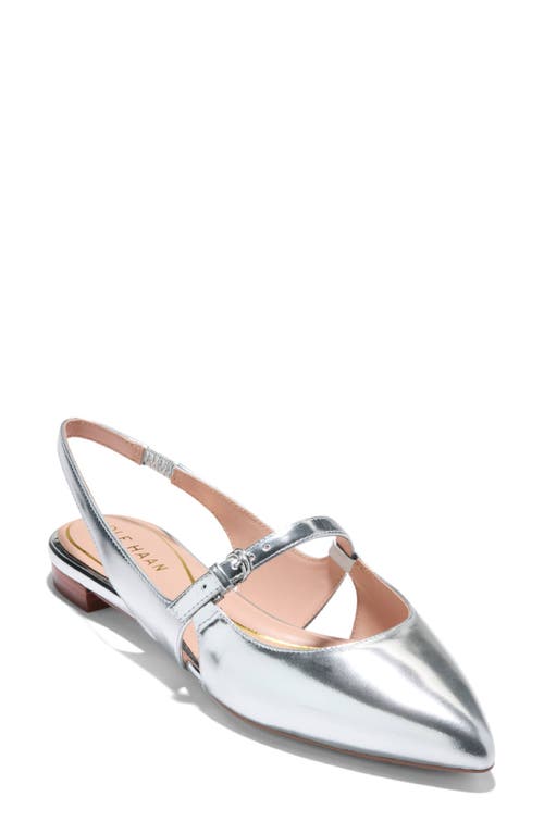 Shop Cole Haan Anya Slingback Mary Jane Pointed Toe Flat In Silver