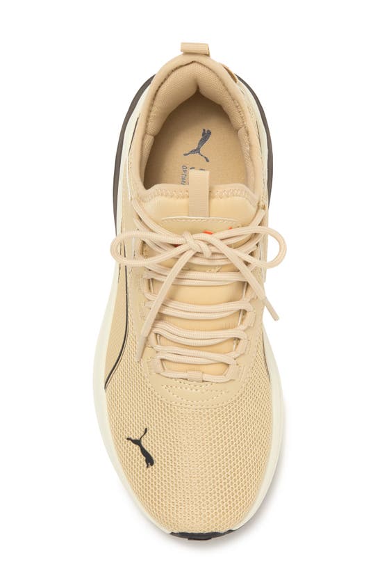 Puma Amplifier Sneaker In Toasted Almond-warm White