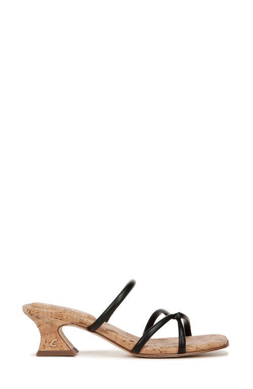 Circus Ny By Sam Edelman Faye Heels In Black
