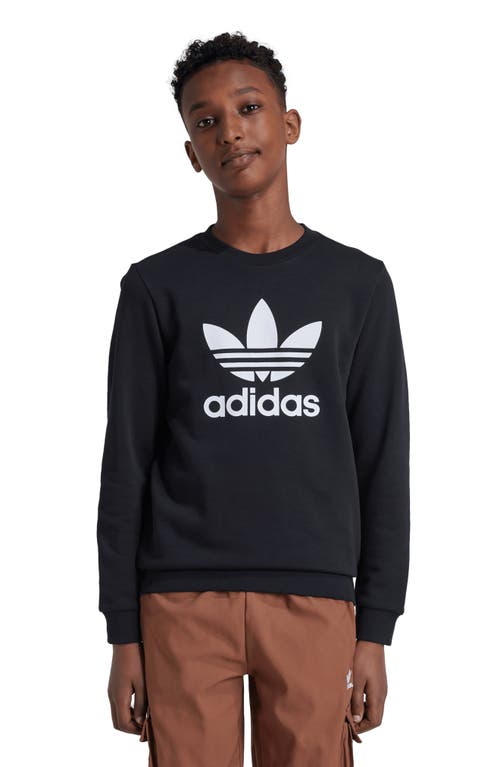 Shop Adidas Originals Adidas Kids' Trefoil Graphic Sweatshirt In Black