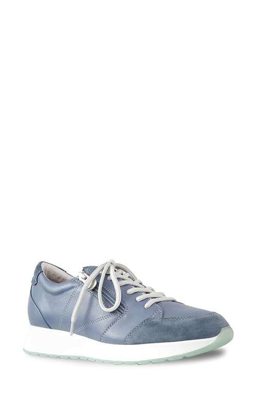 Sutton Sneaker in Blue Combo