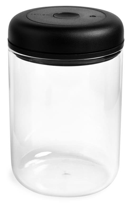 UPC 852212007441 product image for Fellow Atmos Vacuum Glass Canister in Clear- Large at Nordstrom | upcitemdb.com