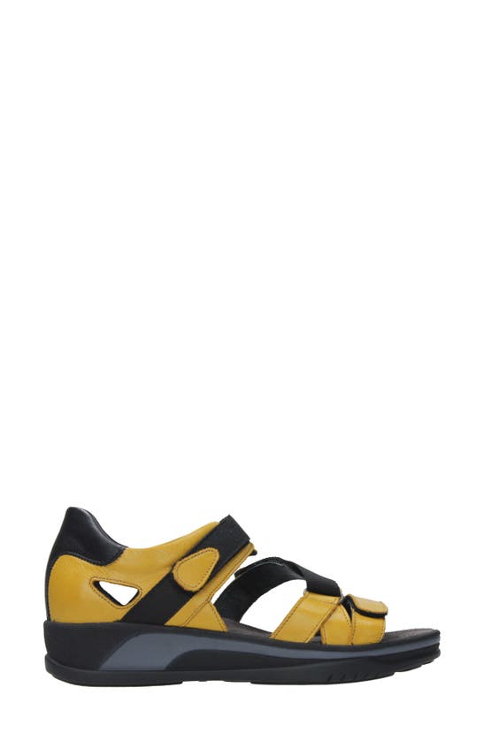 Shop Wolky Desh Ankle Strap Wedge Sandal In Amber Leather