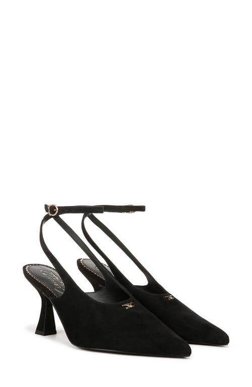 Shop Circus Ny By Sam Edelman Tara Slingback Pump In Black Suede