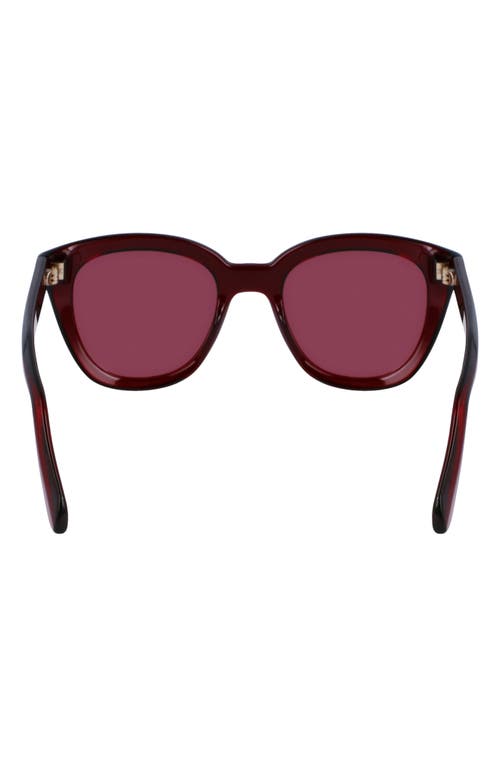 Shop Ferragamo Classic Logo Tea Cup 52mm Round Sunglasses In Transparent Red