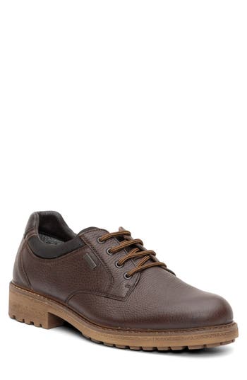 Ara Farren Waterproof Plain Toe Derby In Brown