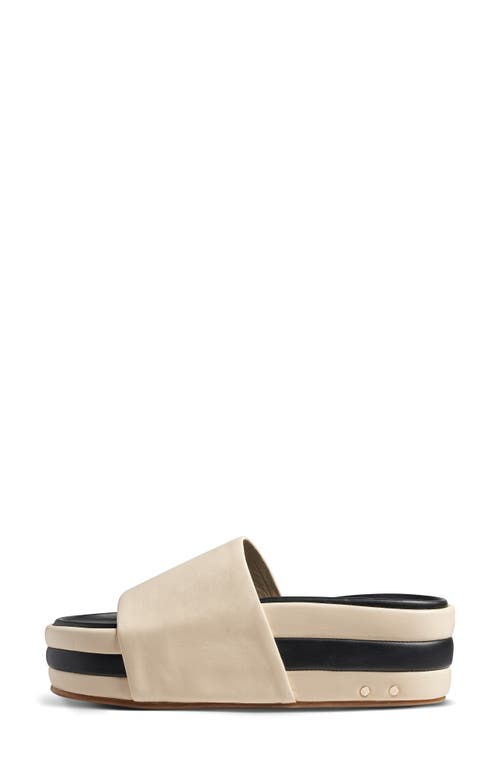 Shop Beek Albatross Stripe Slide Sandal In Eggshell/black