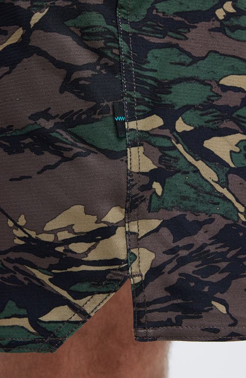 Stance Complex Hybrid Shorts In Greencamo