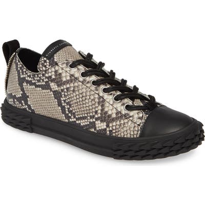 Giuseppe Zanotti Double Lace Sneaker, Beige