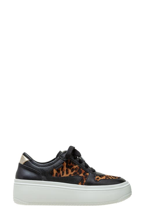 Shop Linea Paolo Gains Genuine Calf Hair Platform Sneaker In Black/cognac-black