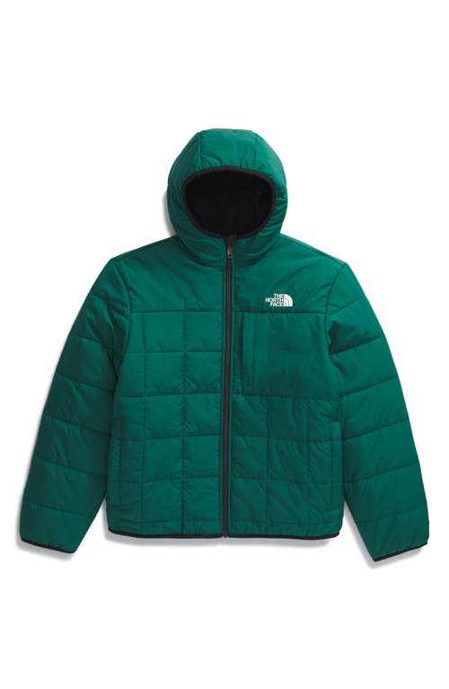 Shop The North Face Kids' Shasta Water Repellent Reversible Hooded Jacket In Evergreen