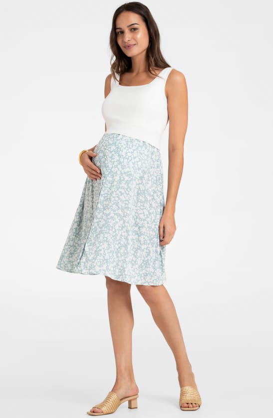 Shop Seraphine Sleeveless Maternity/nursing Dress In Sage